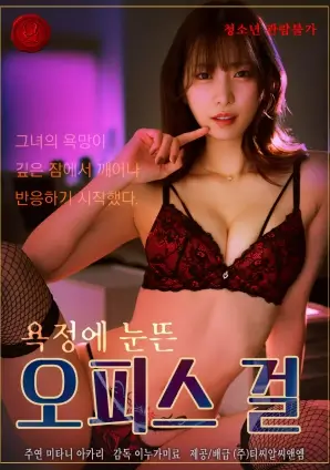 秘密森林详情页配图，档案柜与卷宗